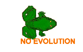 No Evolution